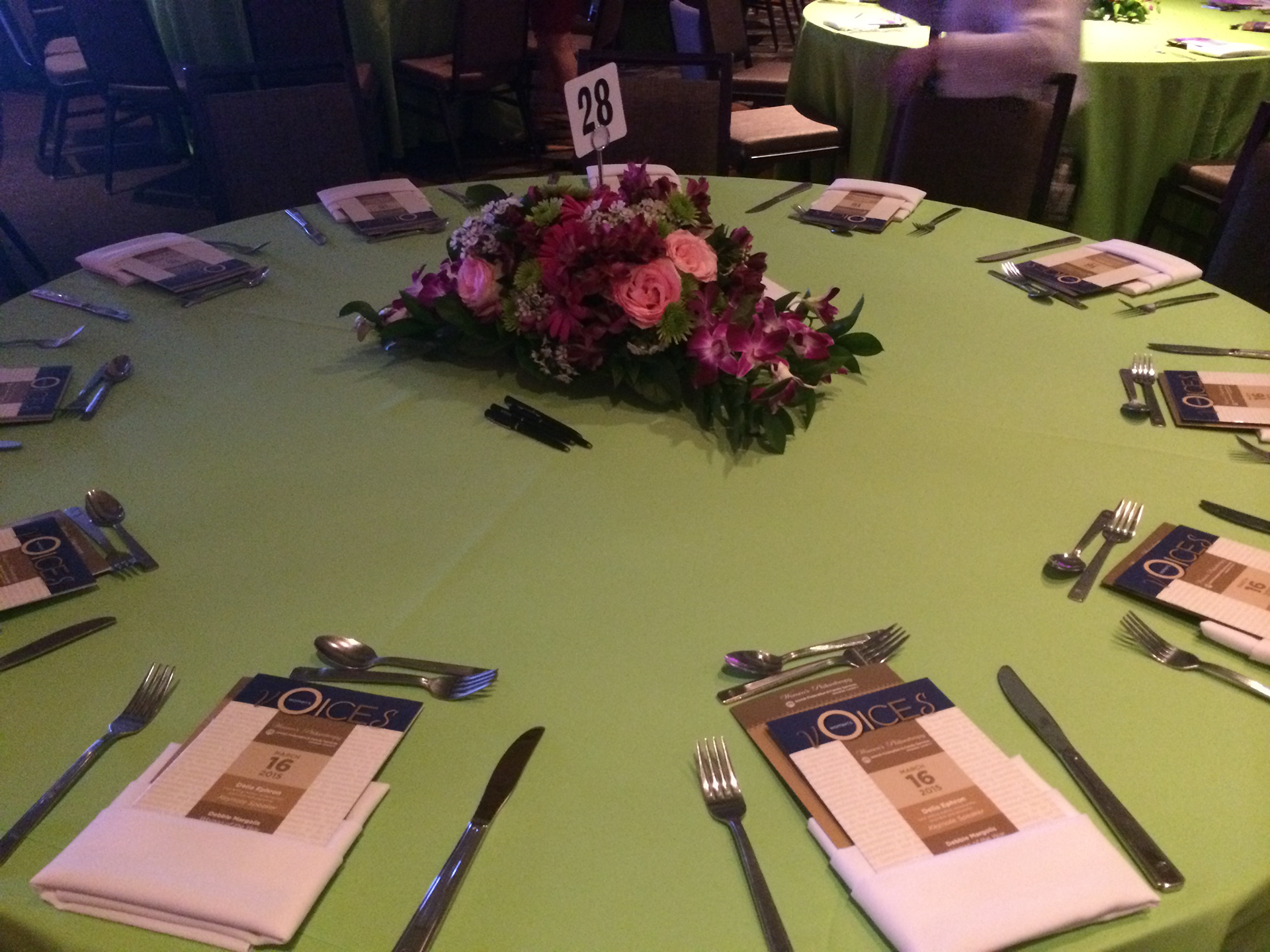 Women's Voices Program