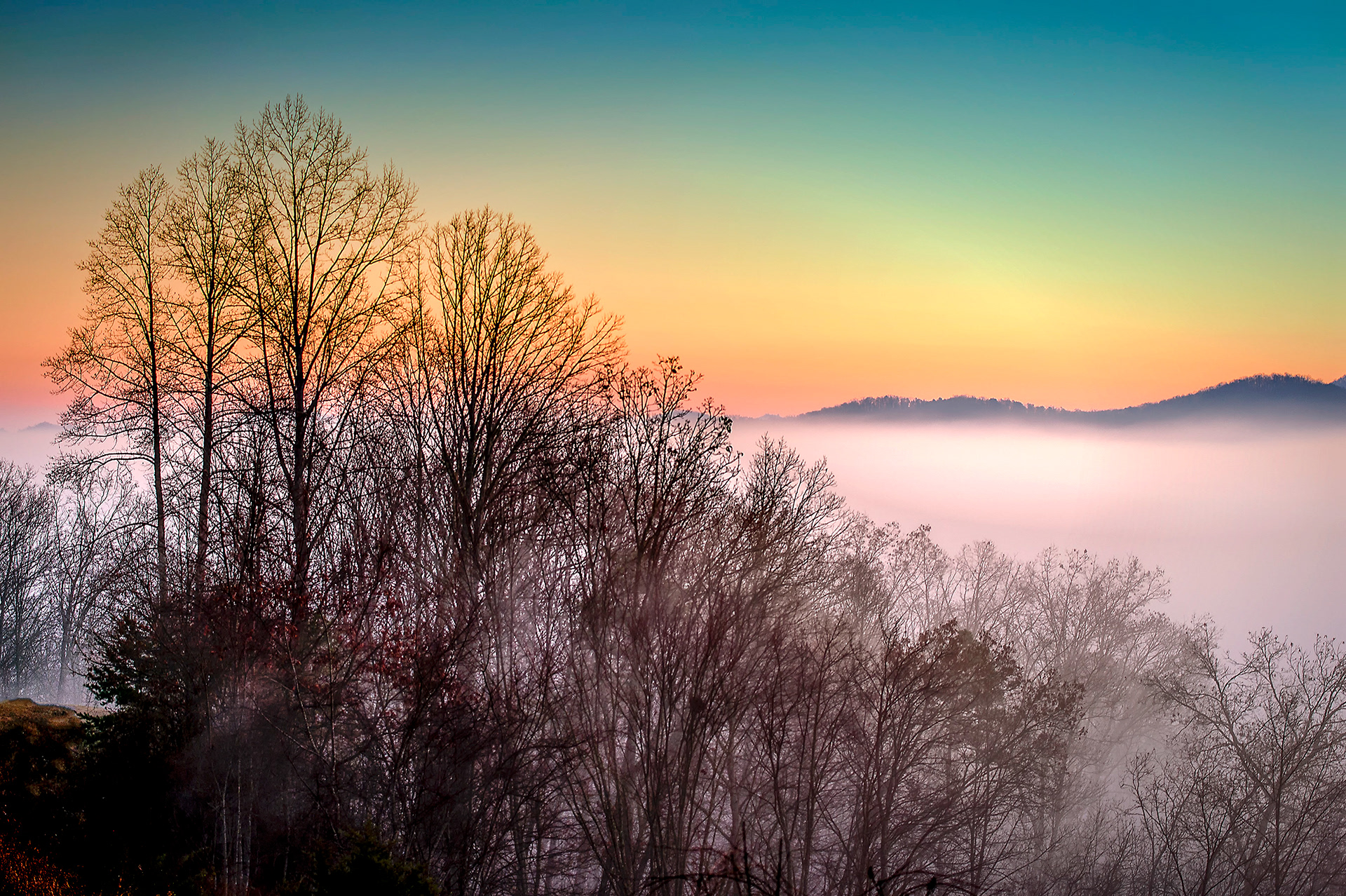 Sunrise in the Smokies