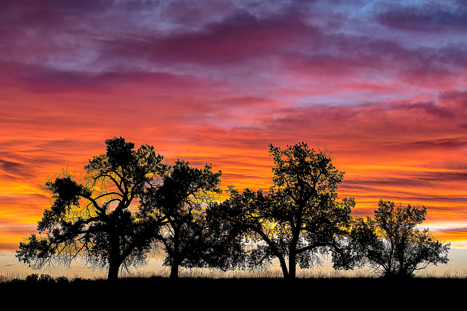 Sunrise Rocky Mountain Arsenal NWR