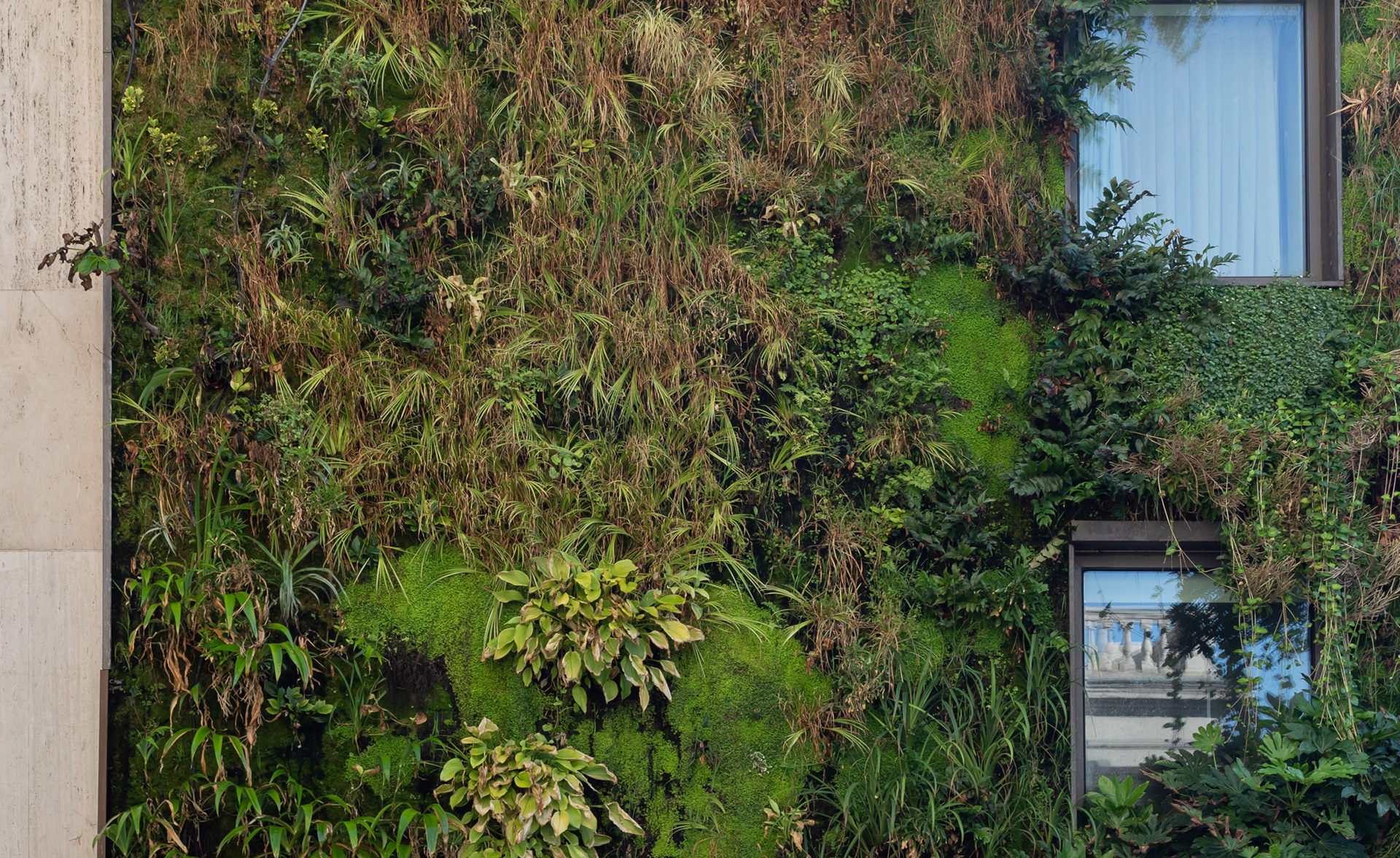 Green Wall, Hotel, Architectural Photographer, interiors photographer, 