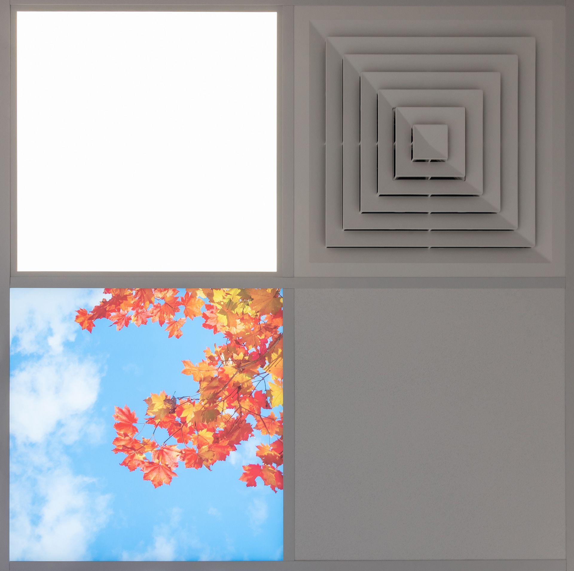 MRI, Ceiling, Lighting, Vent, Architectural Photographer, Interiors Photography, 