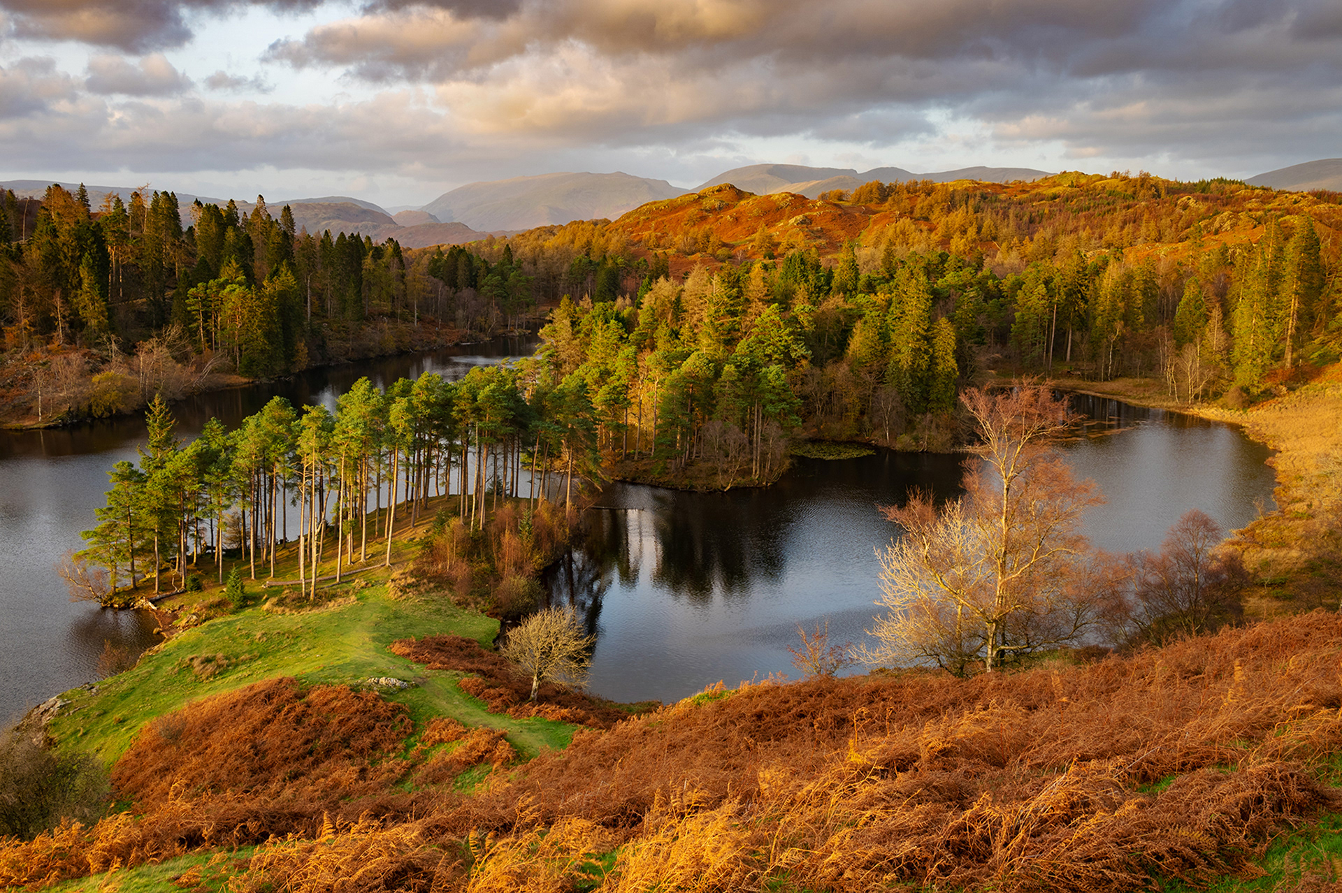 Tarn Hows, Lake District National Park
