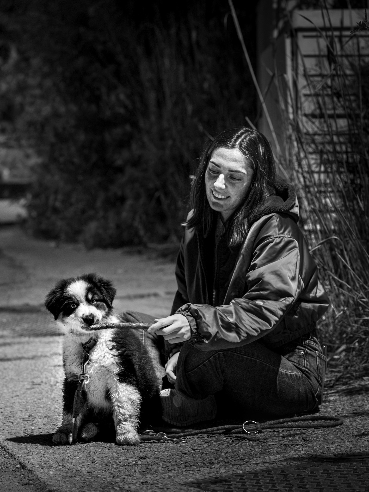 Rencontre nocturne et moment de complicité entre un chiot et sa maîtresse à Juvignac