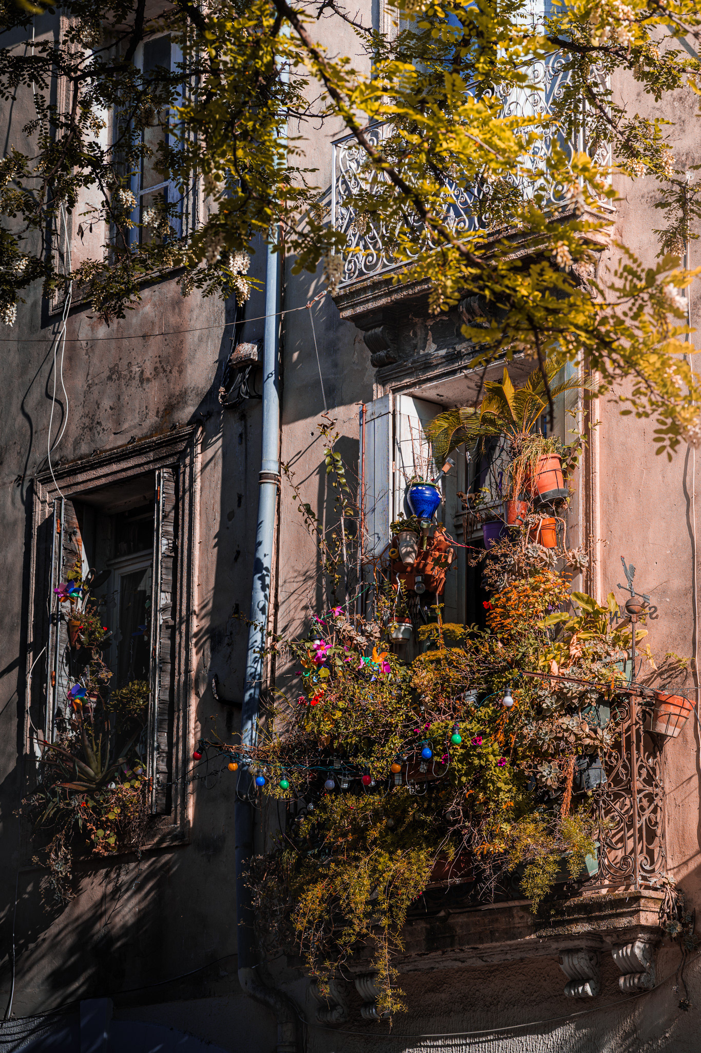 Balcon et façade verdoyants au cœur de la ville