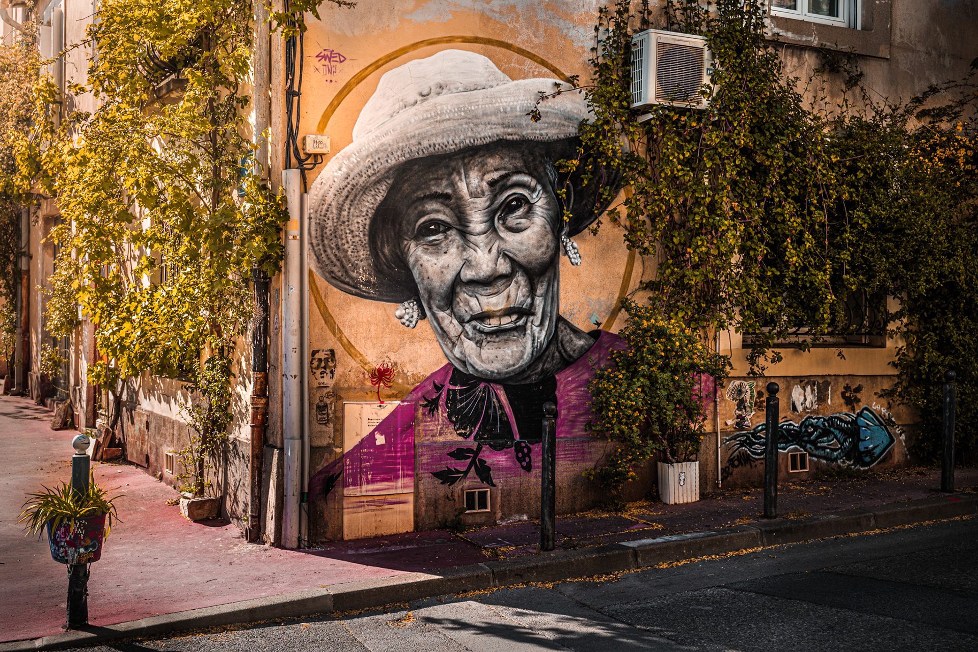 Grande fresque de street art intégrée dans une rue végétalisée à Montpellier