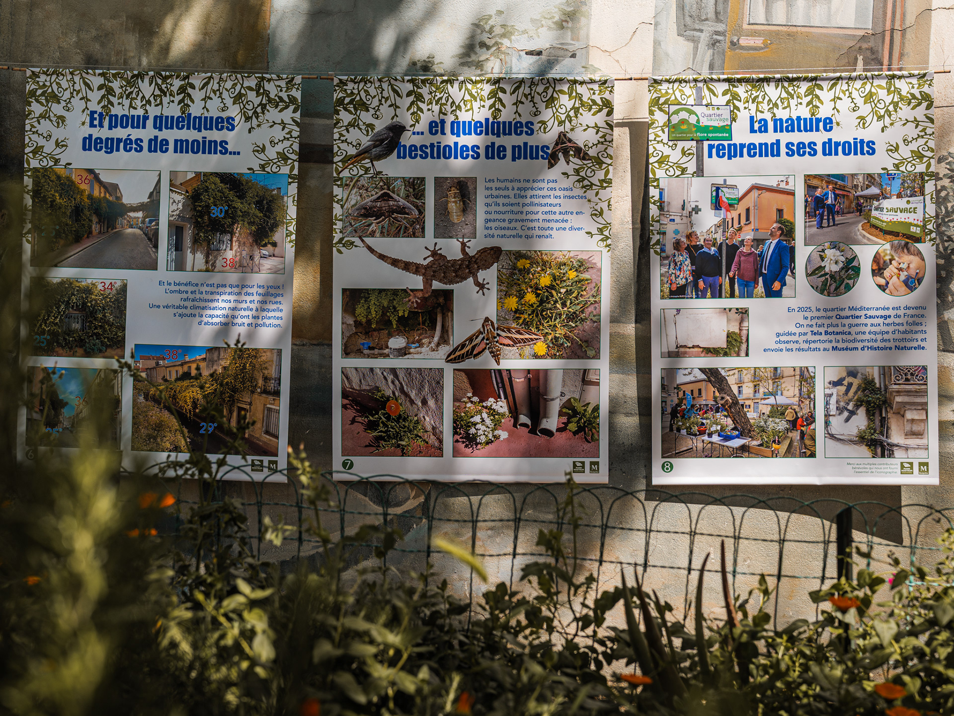 Panneaux d'exposition sur la végétalisation urbaine du CAUE 34