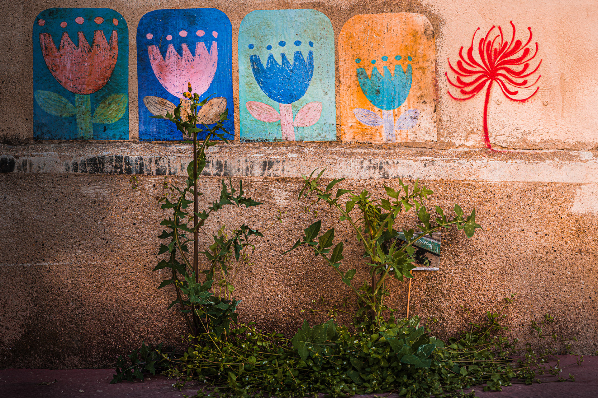 Combinaison de street art et de végétalisation de rue à Montpellier