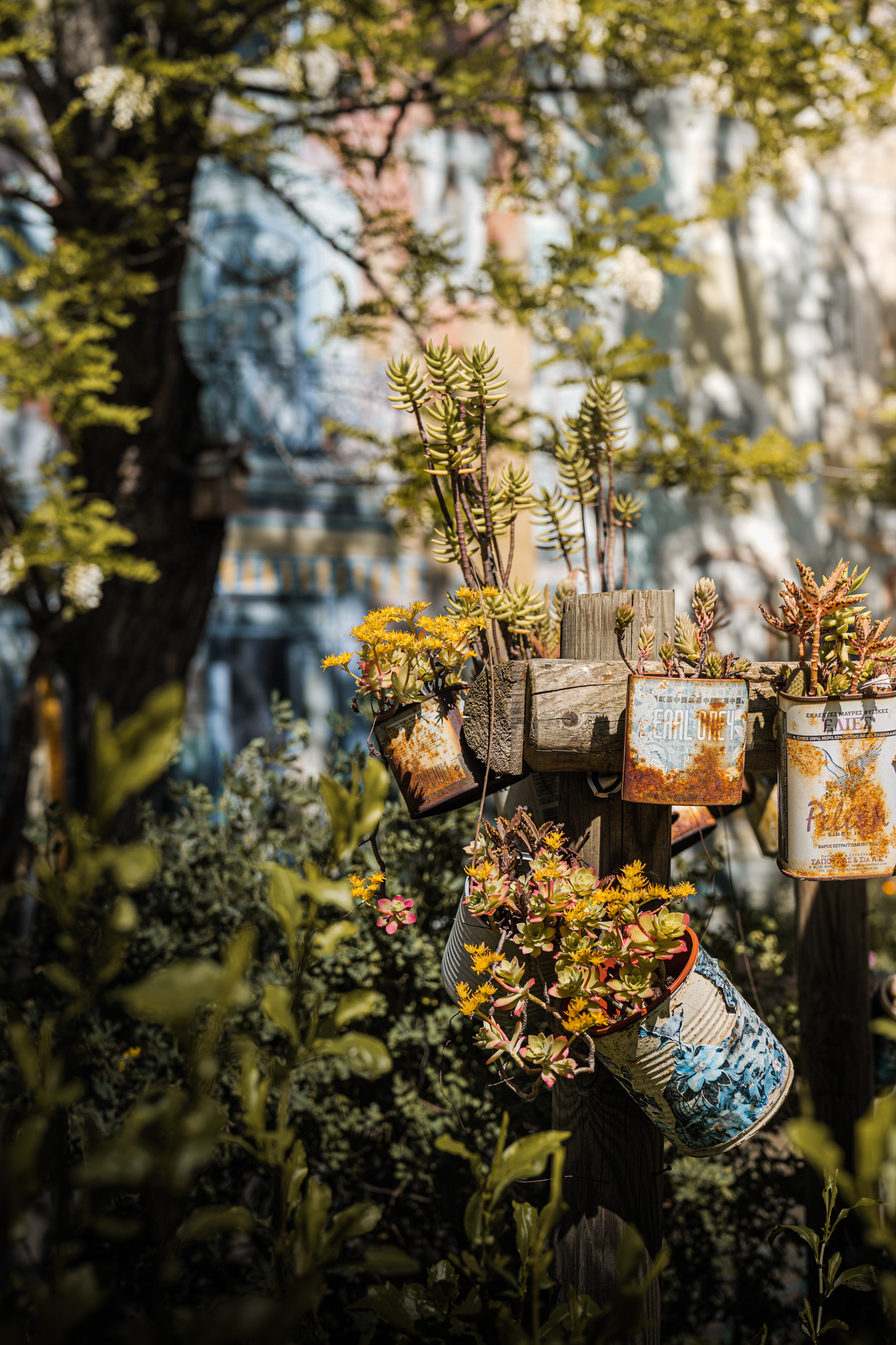 Boît'à jardin supendus dans le quartier Méditerranée