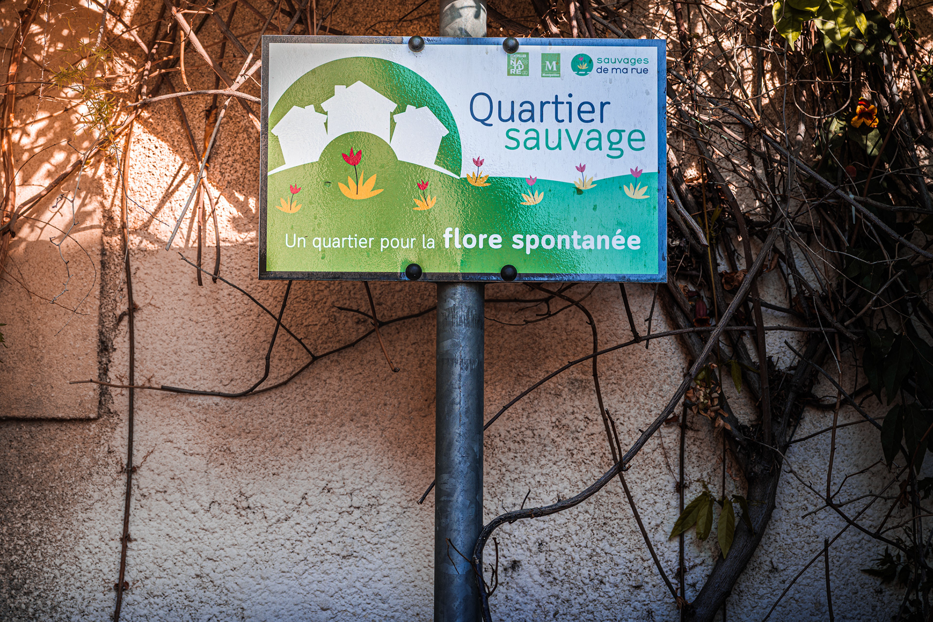 Panneau Quartier Sauvage pour la protection de la flore spontanée à Montpellier
