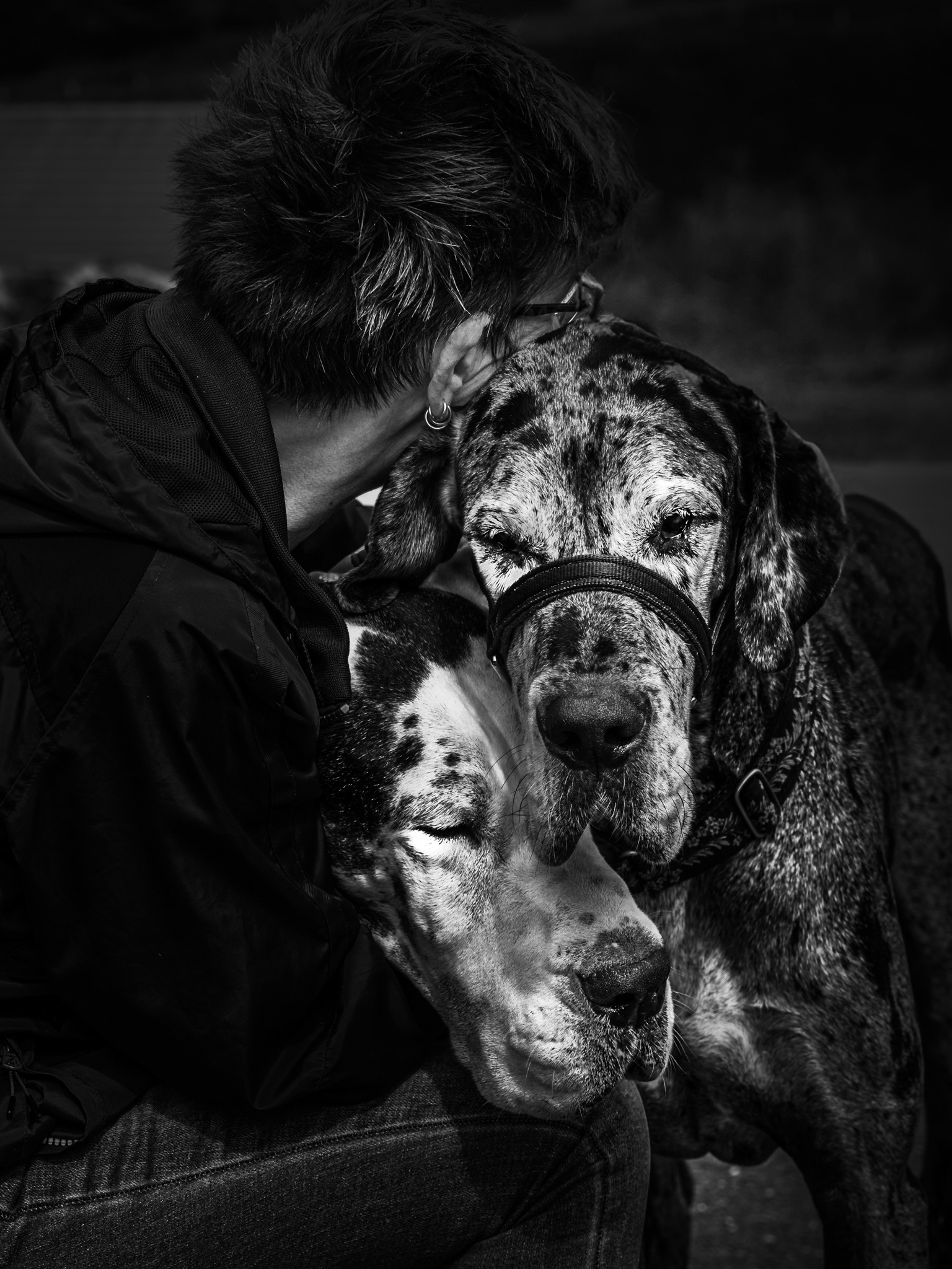 Gros plan  sur la complicité entre une femme et ses deux chiens
