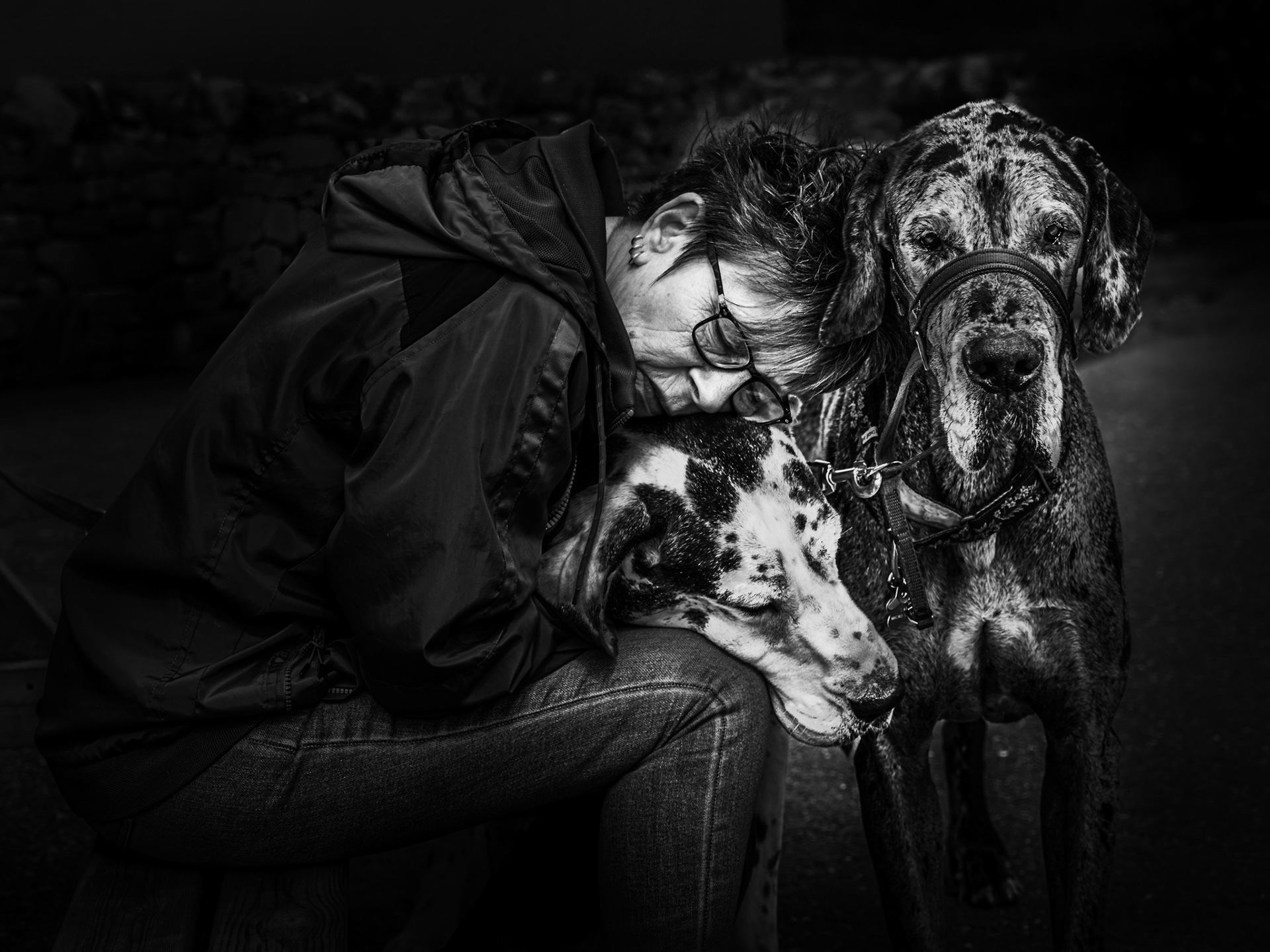 Moment de tendresse entre une femme et ses chiens capturé lors d'un road trip en Ecosse