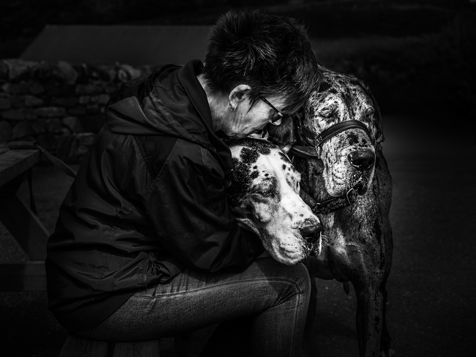 Portrait d'une femme avec ses deux chiens lors d'un road trip en Ecosse