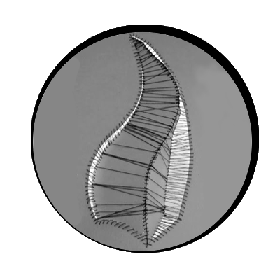 What is blade 3D in 2D? 