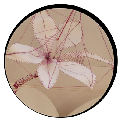 Interactive model…