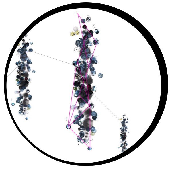 How is knowledge shared? 