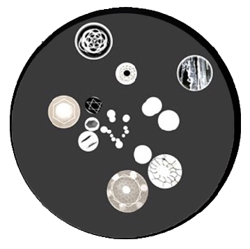 How can the animated brain be represented? 