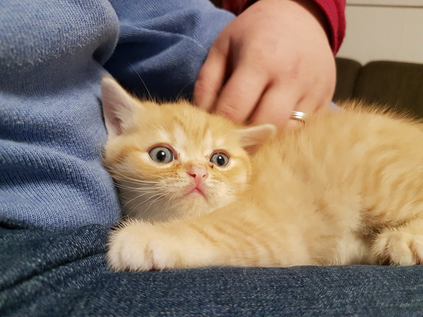 So haben wir Eddy das erste mal gesehen