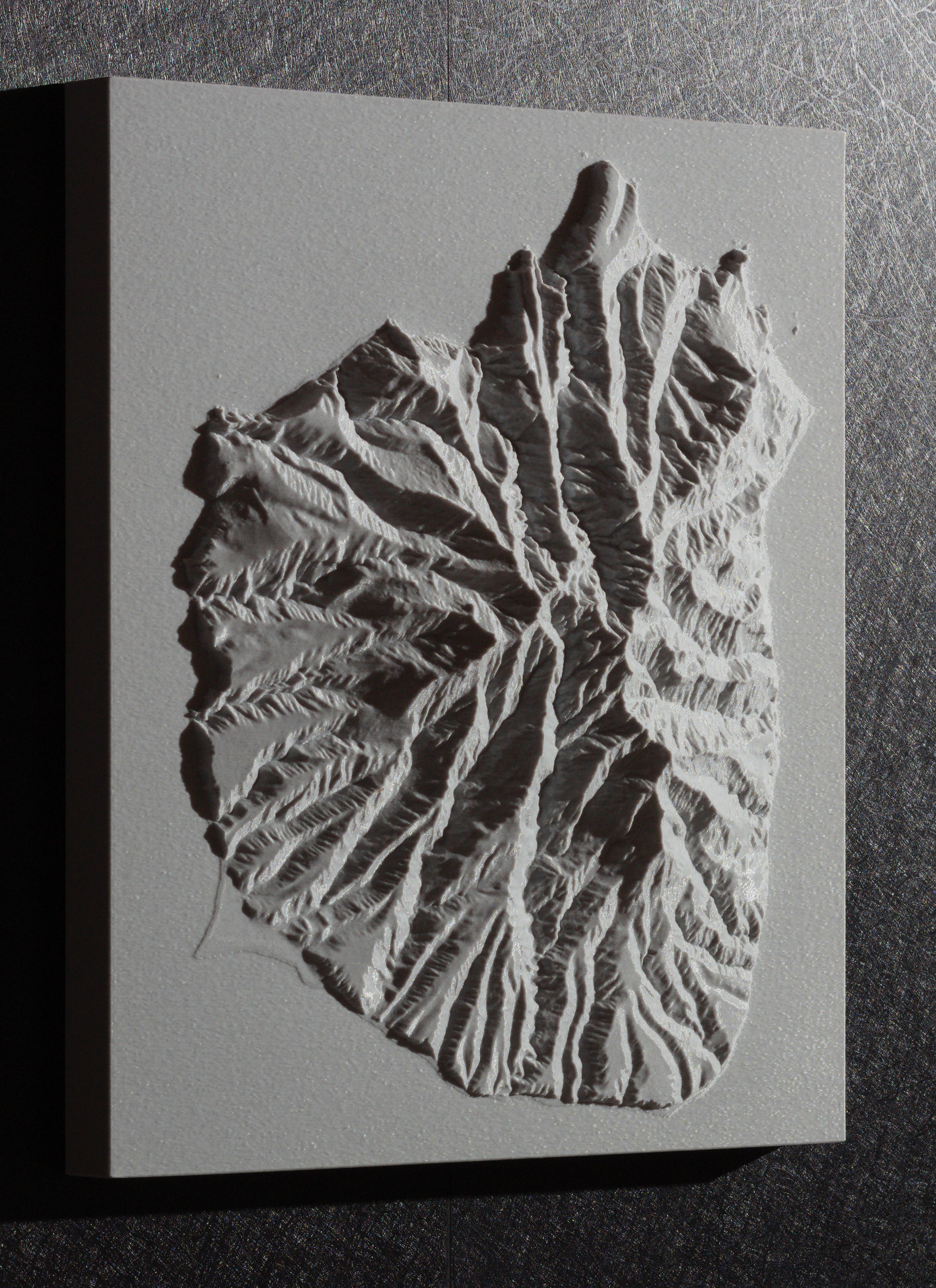 Little Barrier Island 280 x 320 mm - $165