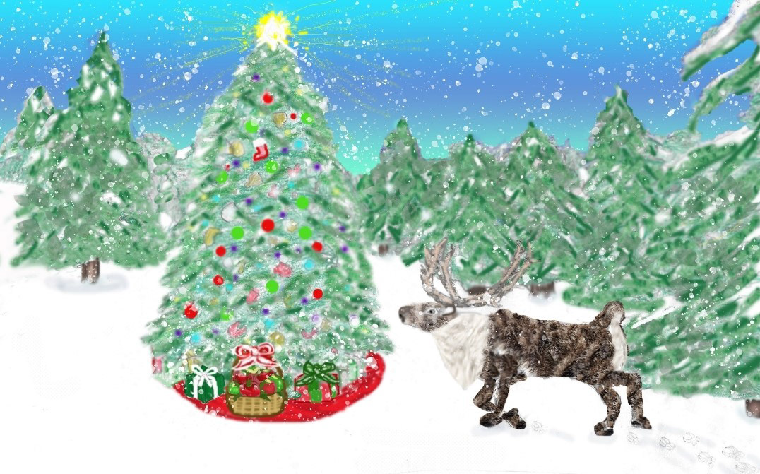 Holiday Greeting Card Design