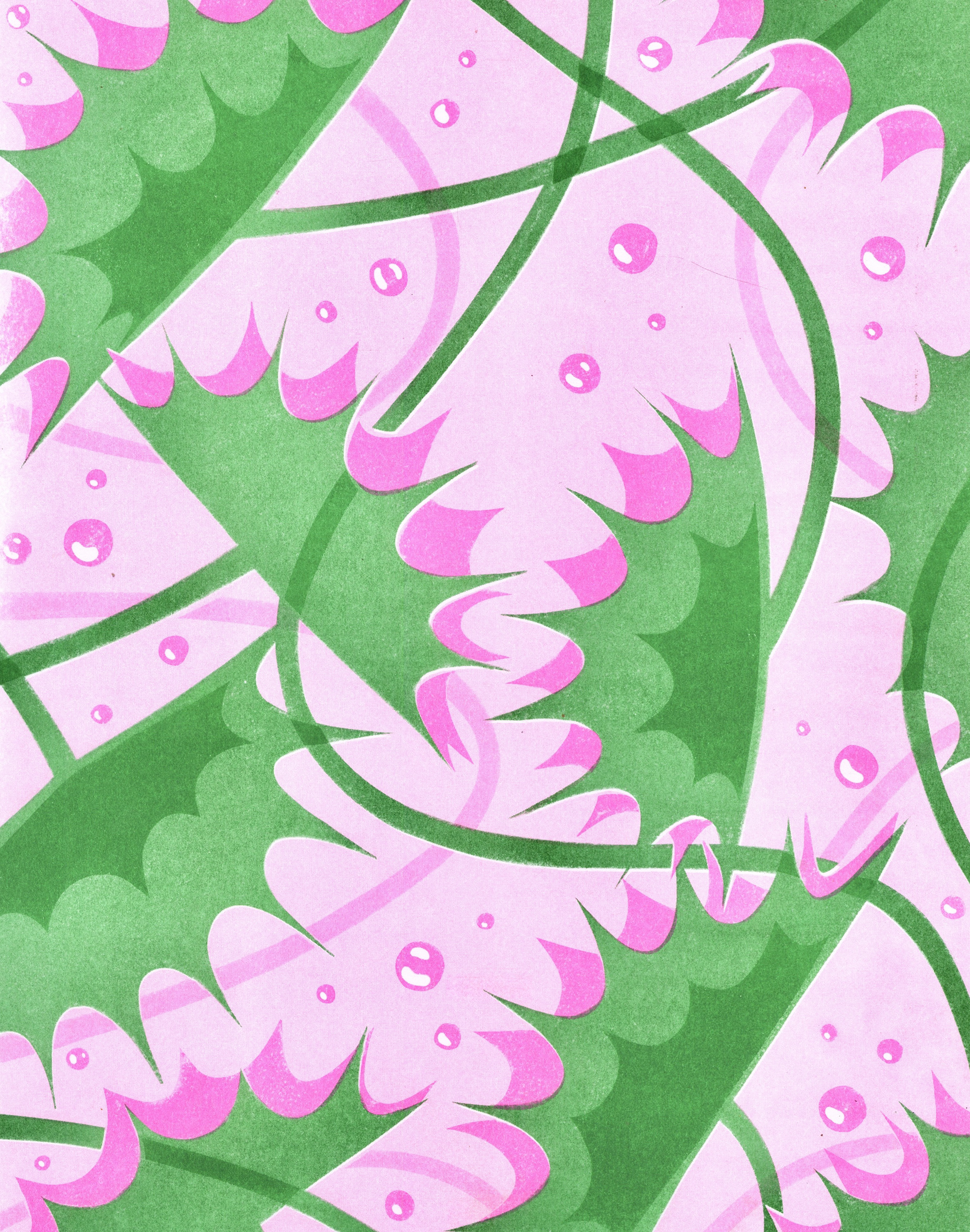 Boiling Venus Flytraps — Pink