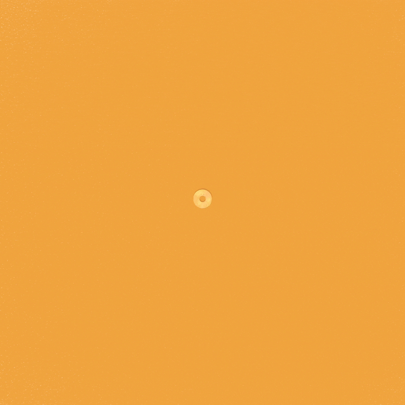 Twirling Donut