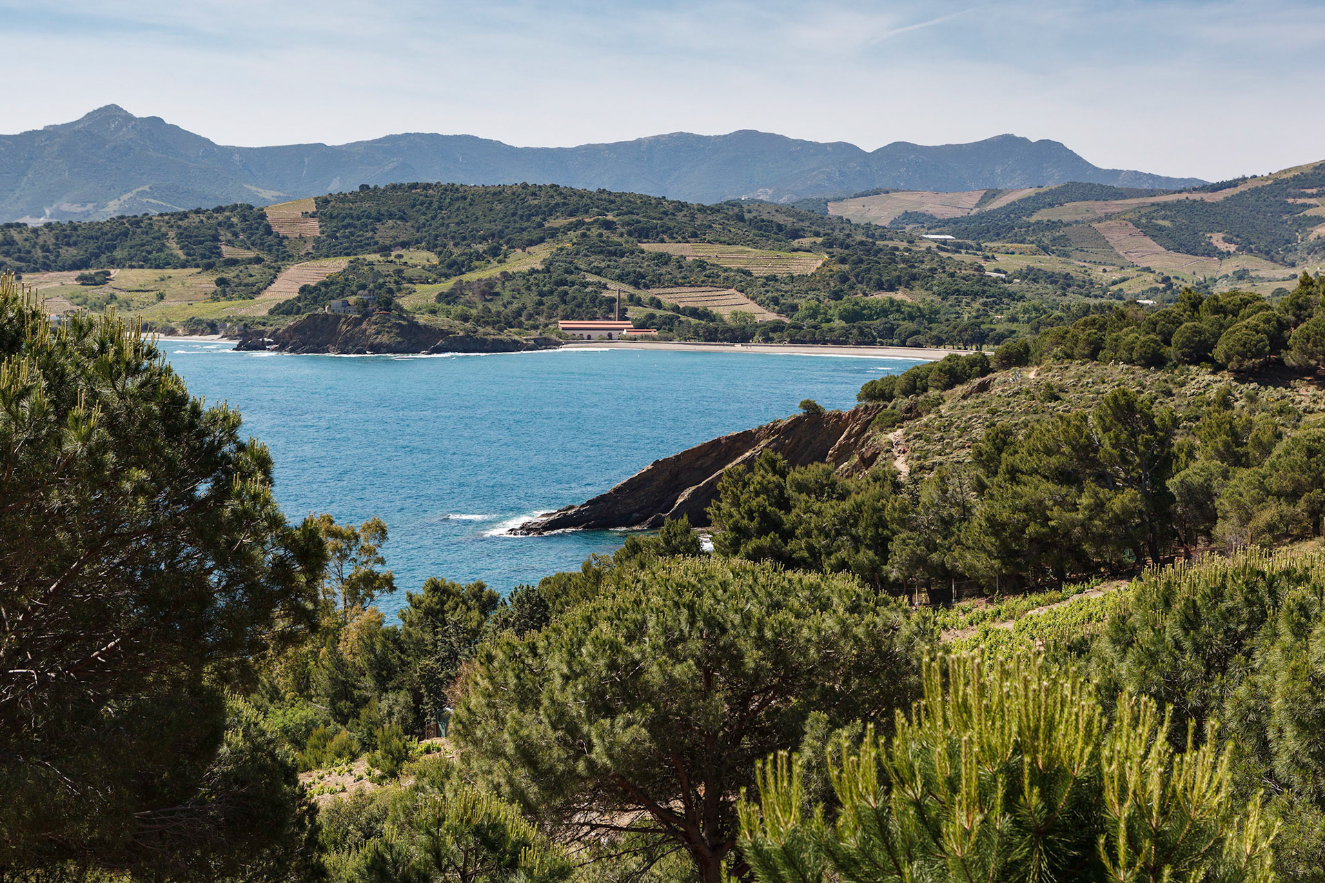 Requalification du Site des anciennes dynamiteries Alfred Nobel par ALEP paysagistes; Anse de Paulilles