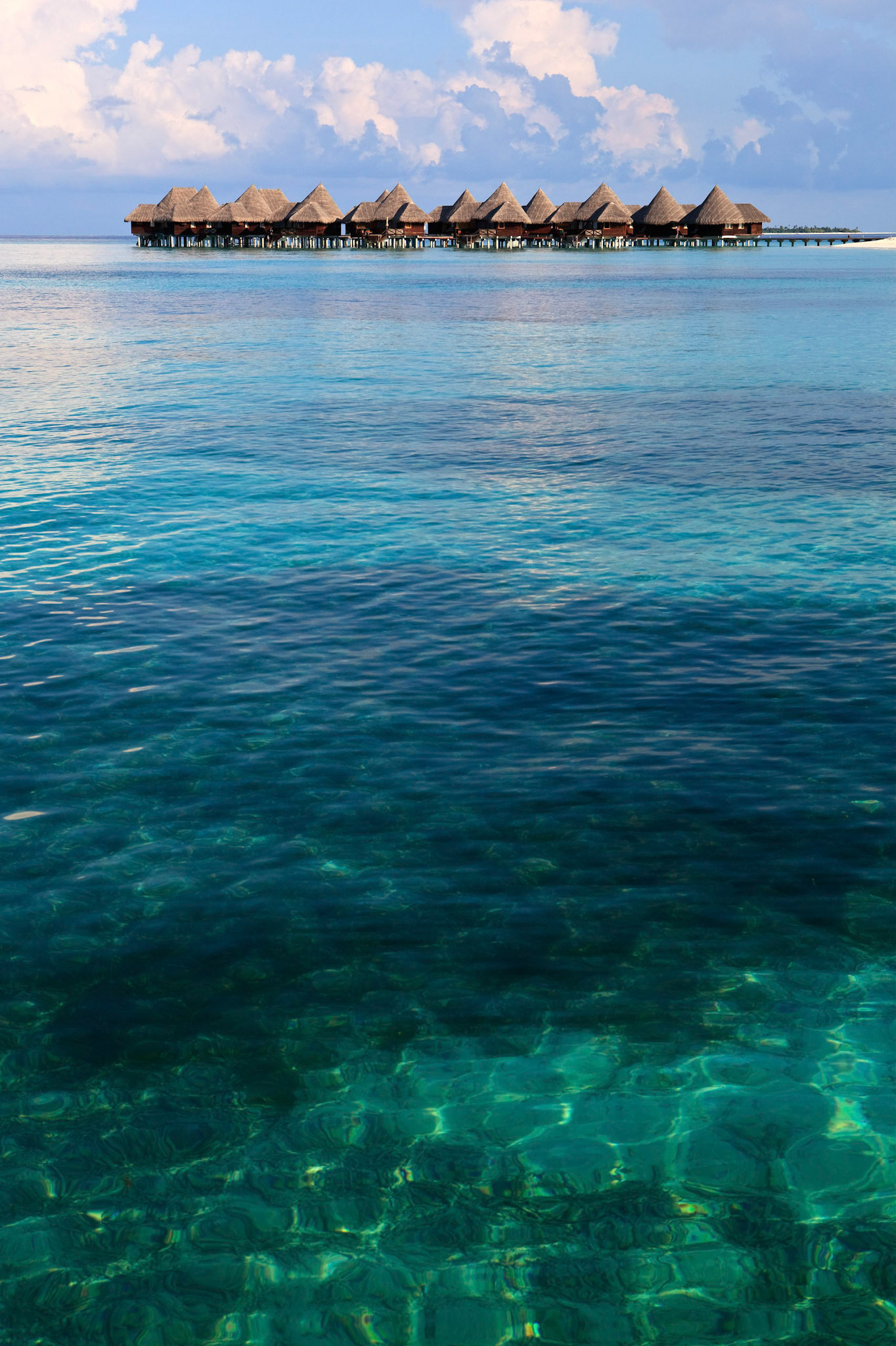 Photo Nicolas CASTETS