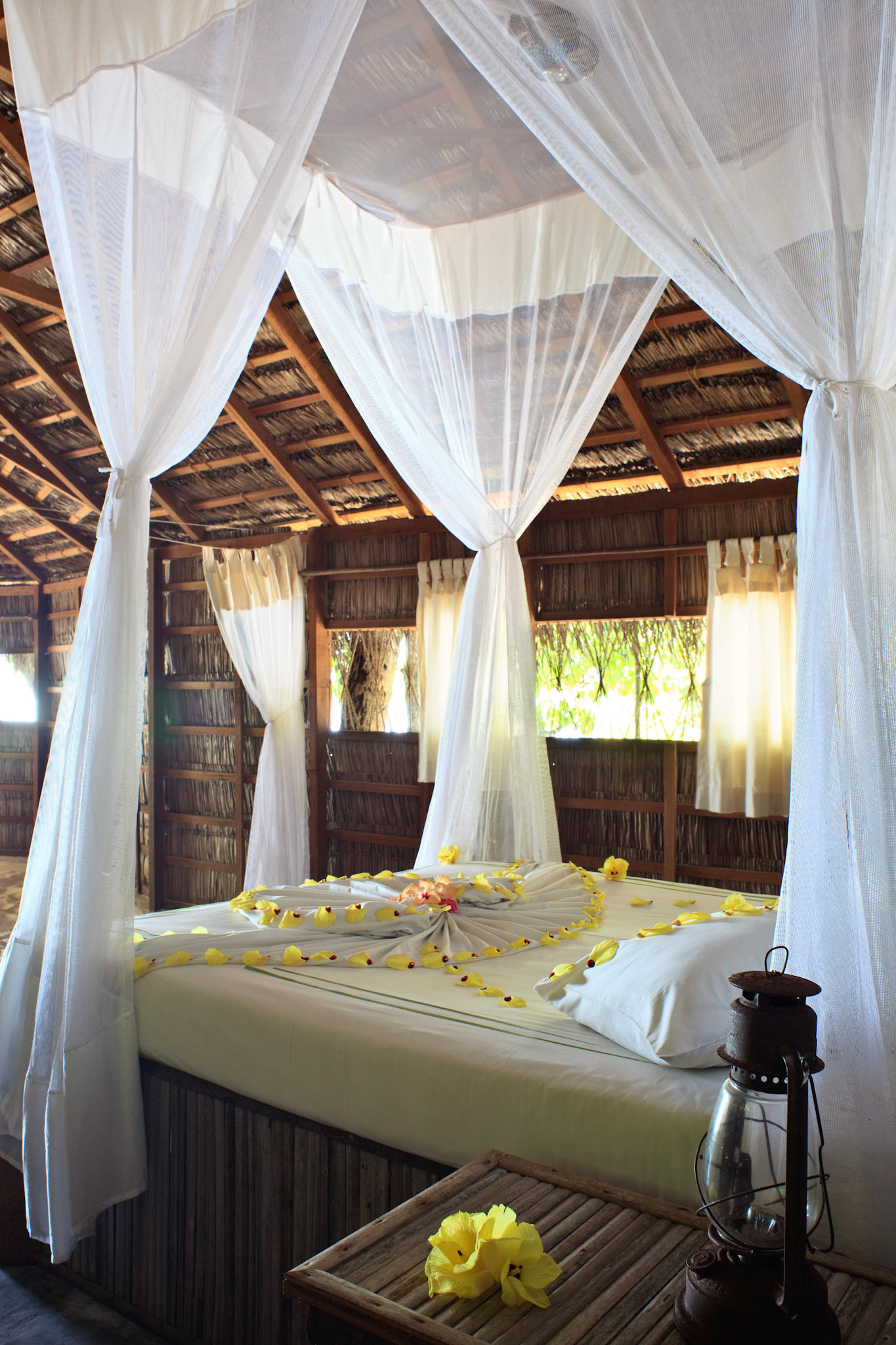 Photo Nicolas CASTETS