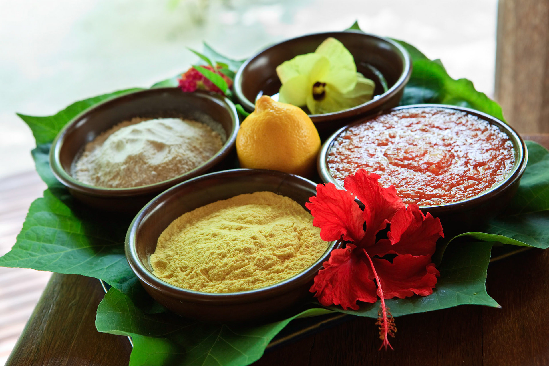 Photo Nicolas CASTETS