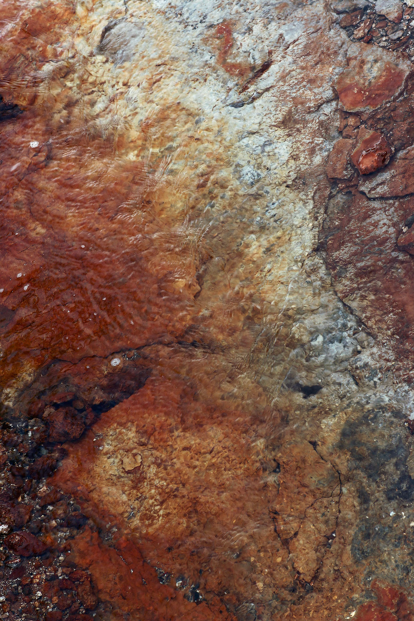 Yellowstone National Park; Norris geyser basin aera
