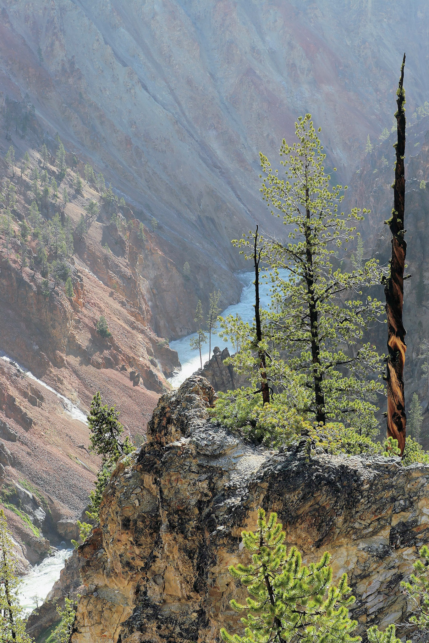 Yellowstone National Park; Yellowstone River from Artist Point