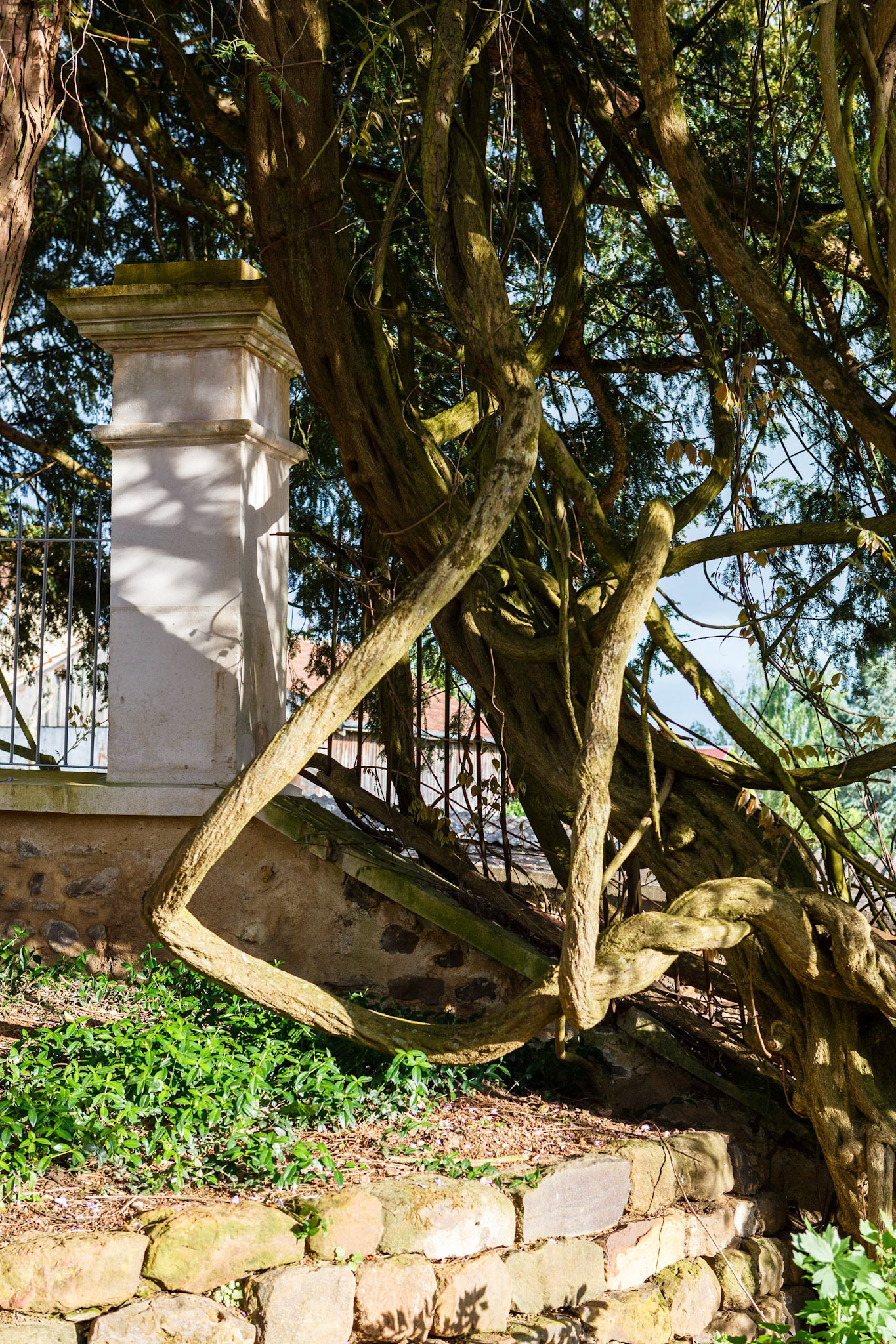 Maison de Colette, Jardin, Crédit photo Nicolas Castets