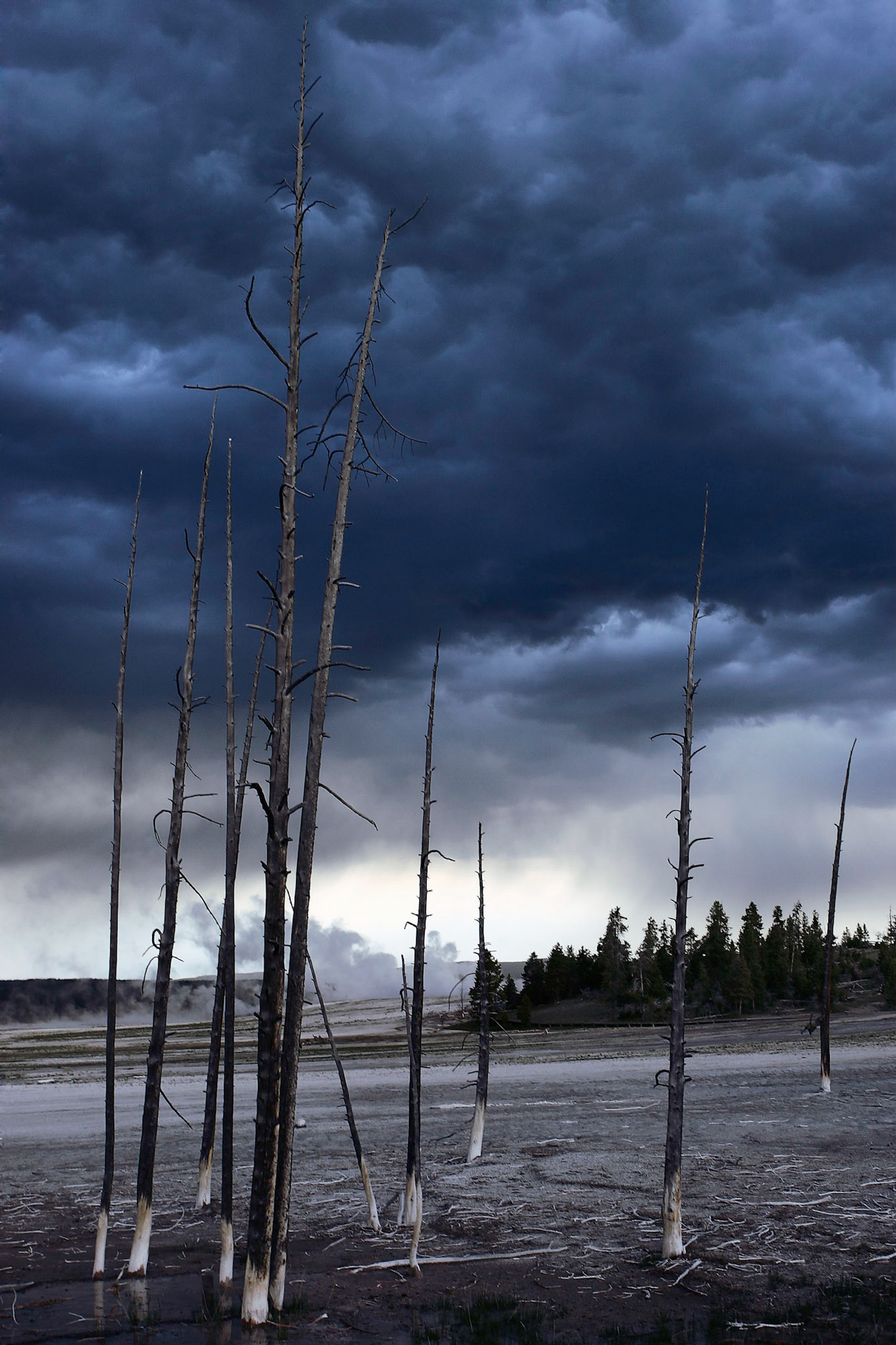 Yellowstone National Park; Fountain Paint Pot