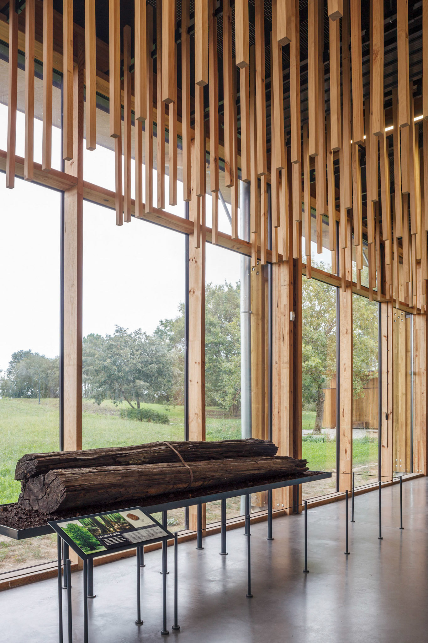 Aménagement et développement de la réserve naturelle d’Arjuzanx par ALEP, architectes-paysagistes, et INCA, architectes. Photo : Nicolas Castets