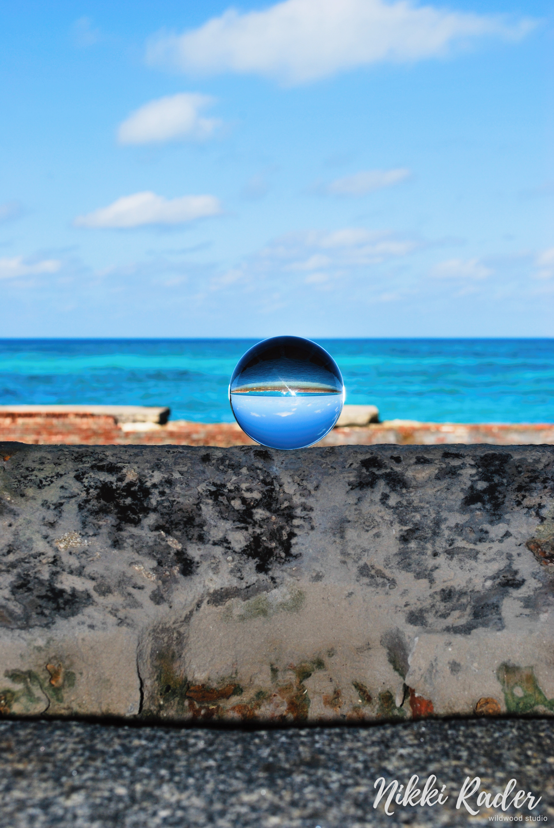 Fort Jefferson, FL (2019) Nikon/Tamron 150-600
