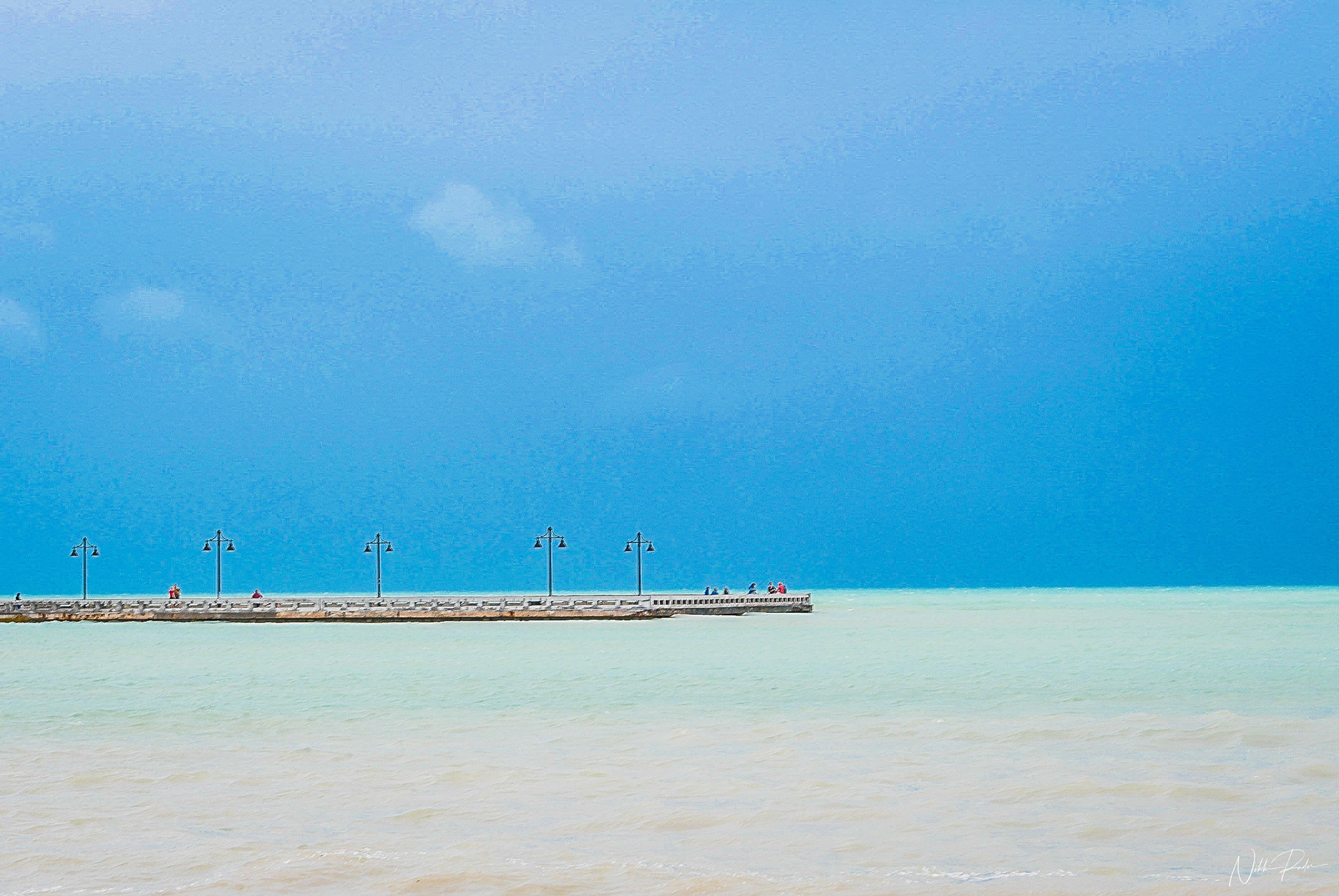Key West (2020) Nikon/Tamron 150-600