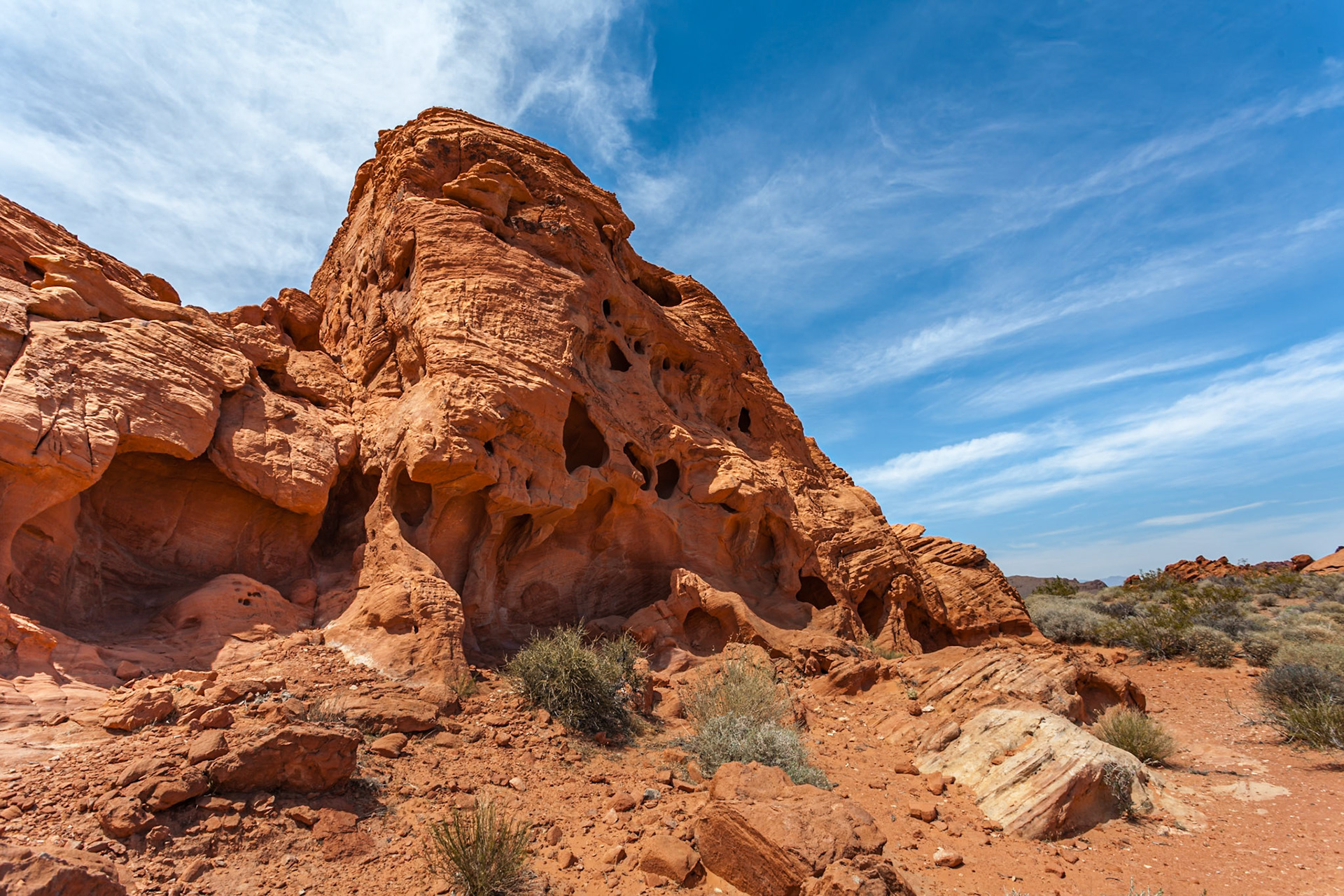 140503_026 Desert foliage at the base of red Aztec sandstone rock formations in the Valley of Fire State Park in Overton, Nevada northeast of Las Vegas
