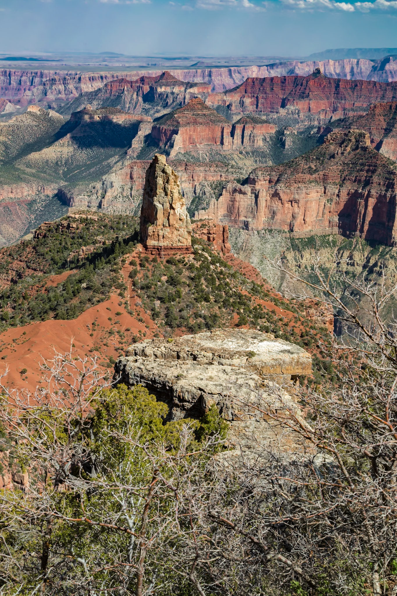190601_143 North Rim of the Grand Canyon in Northern Arizona, USA