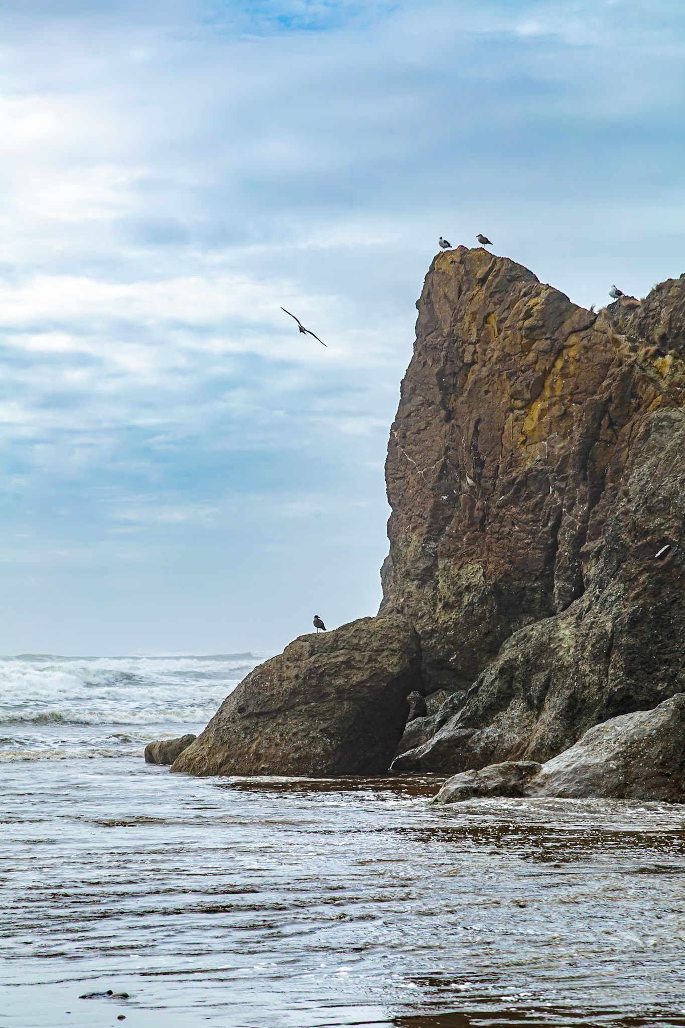180910_092 Large rock seastack at Ruby Beach in the Olympic National Park near Forks, Washington