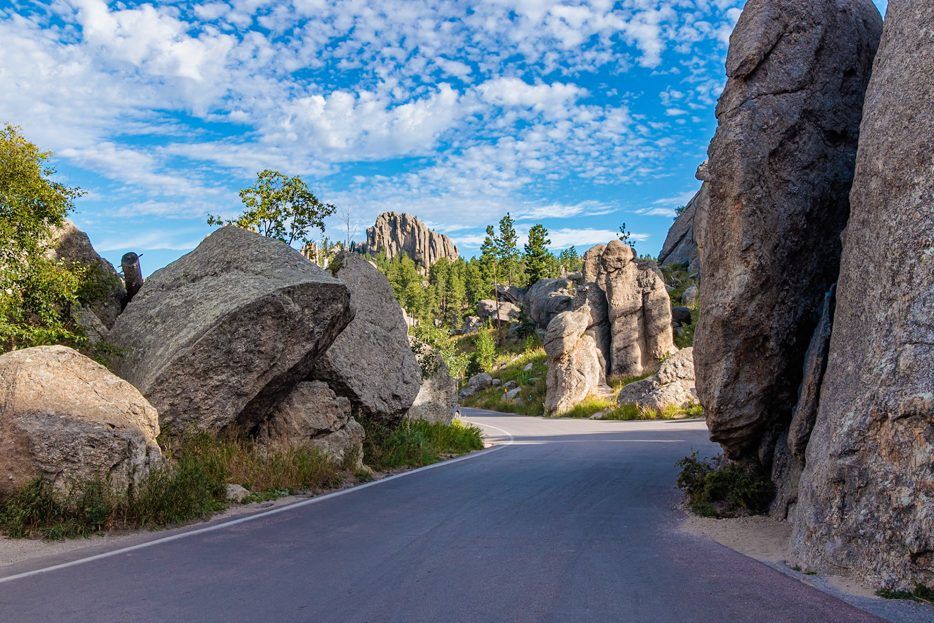 240821_078 Roadway through the Needles rock formationis in Custer State Park, South Dakota, USA