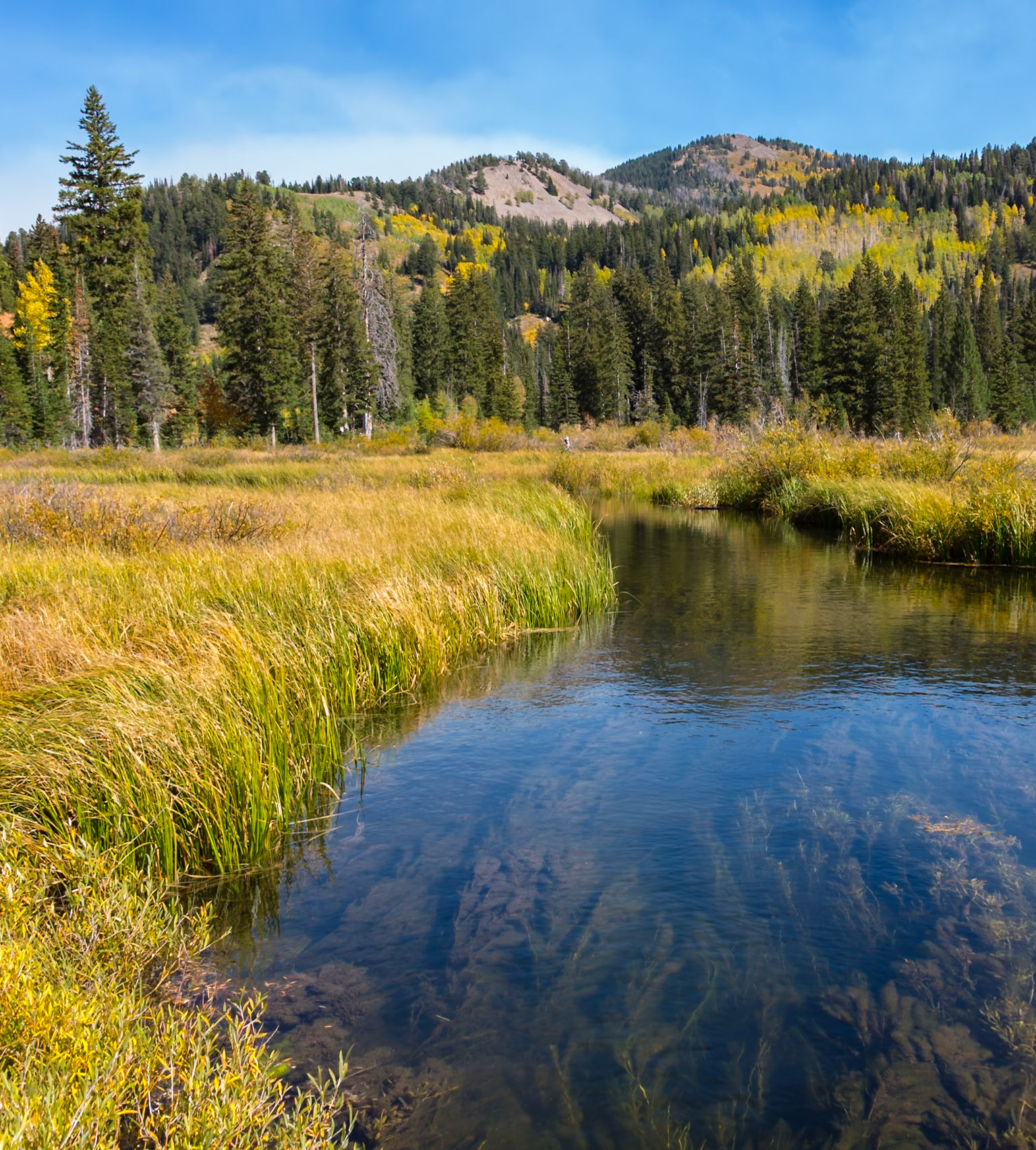 180915_097 Streams from the Wasatch Mountains flowing into Silver Lake in Big Cottonwood Canyon near Salt Lake City, Utah