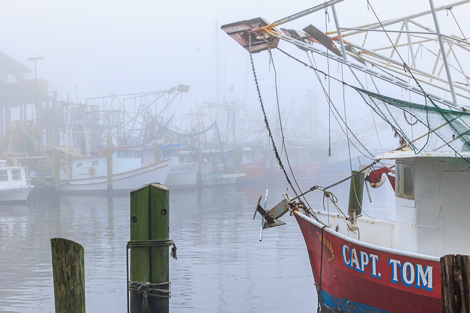 211231_189 Commercial shrimp boats at the dock in the commercial area of the Biloxi Small Craft Harbor in Biloxi, Mississippi
