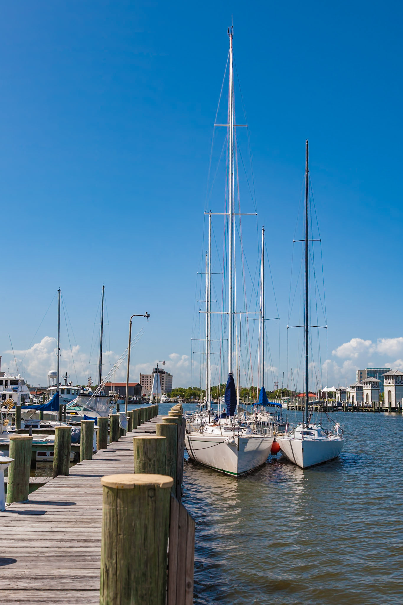 140617_527 Sailboats tied together docked at the Gulfport Yacht Club in the Gulfport Municipal Harbor in Gulfport, Mississippi