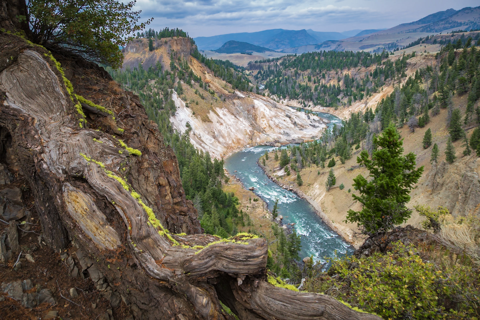 180822_049 View of the Yellowstone River at the bottom of the Grand Canyon of the Yellowstone from Calcite Springs Overlook in Yellowstone National Park, Wyoming