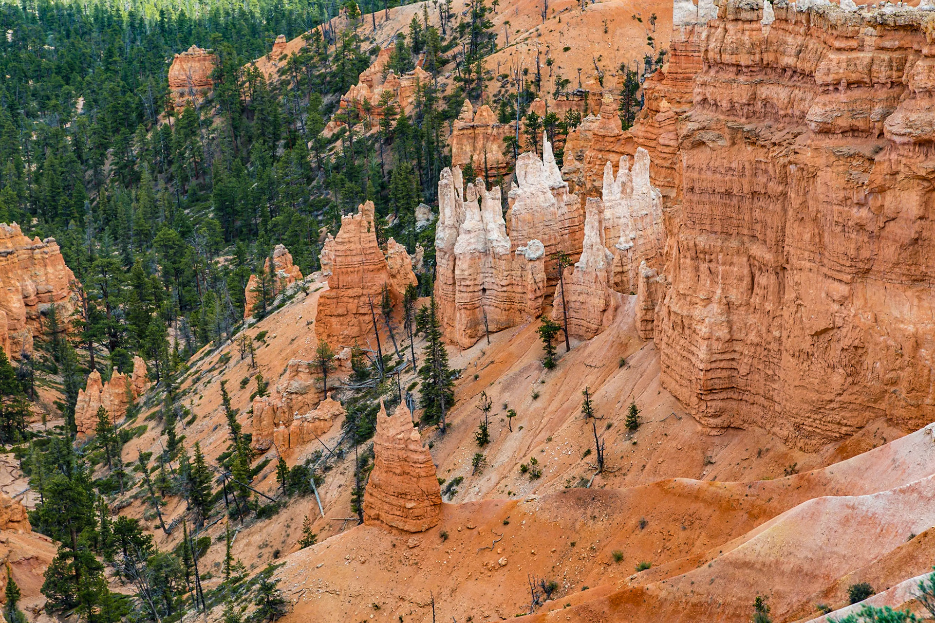 190603_568 Sunset Point lookout in Bryce Canyon National Park in Utah