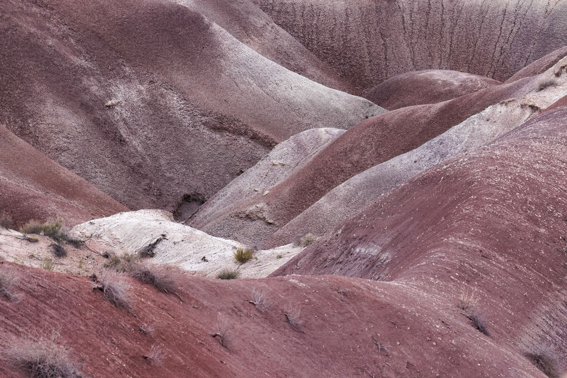 230411_334-E Colorful deposits of the Chinle Formation exposed at Little Painted Desert County Park near Winslow, Arizona