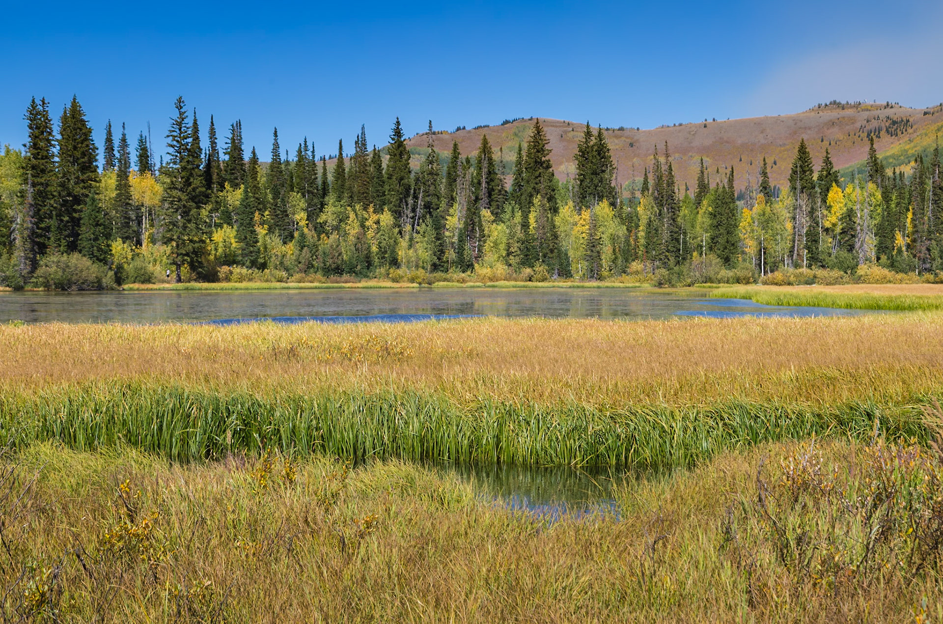 180915_059 Grassy wetlands surround Silver Lake in Big Cottonwood Canyon near Salt Lake City, Utah