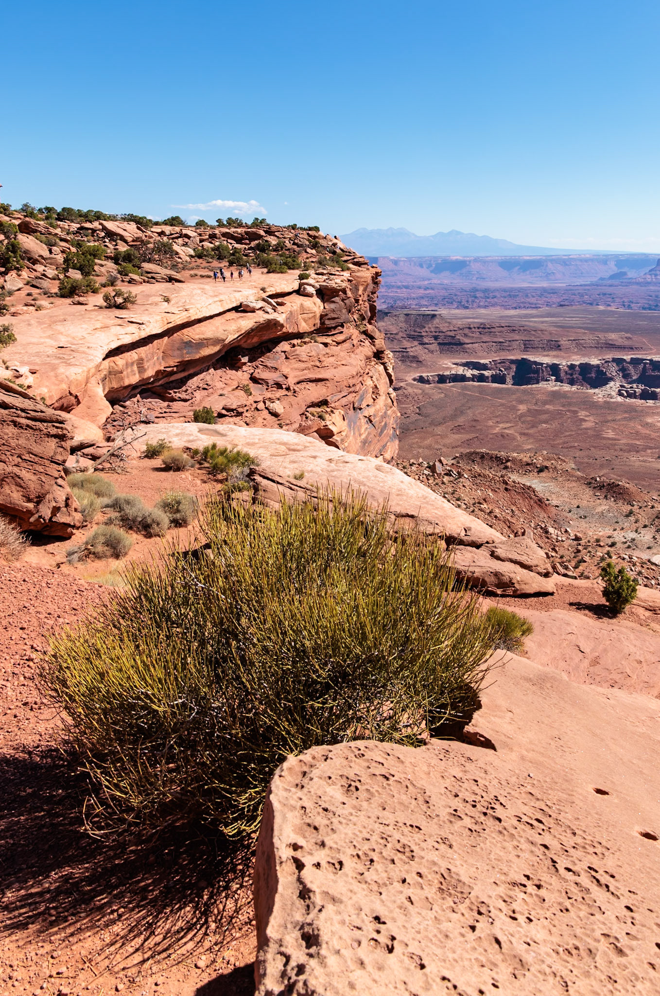 240928_057 Rocky edge of Horsethief Canyon in the  Island in the Sky area of Canyonlands National Park, Utah, USA