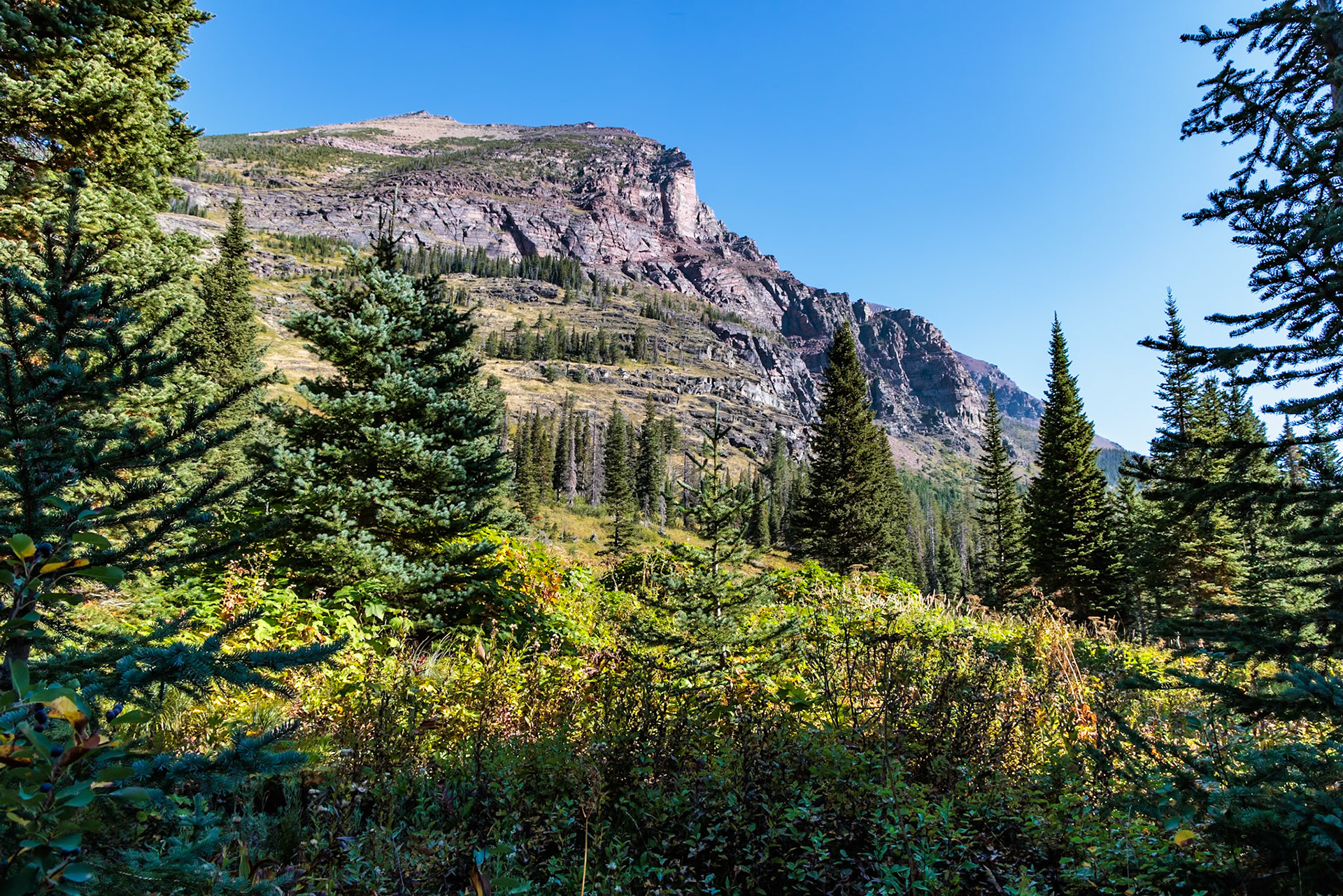 240906_117 Glacier National Park in Montana, USA