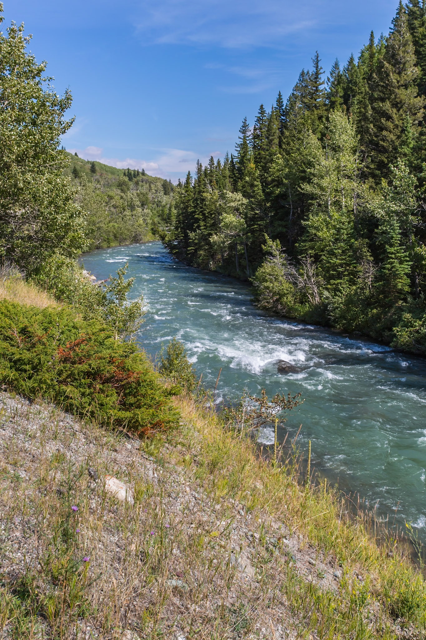 180828_129 Swiftcurrent Creek flows between Lake Sherburne and Lower Saint Mary Lake in Glacier National Park near Babb, Montana